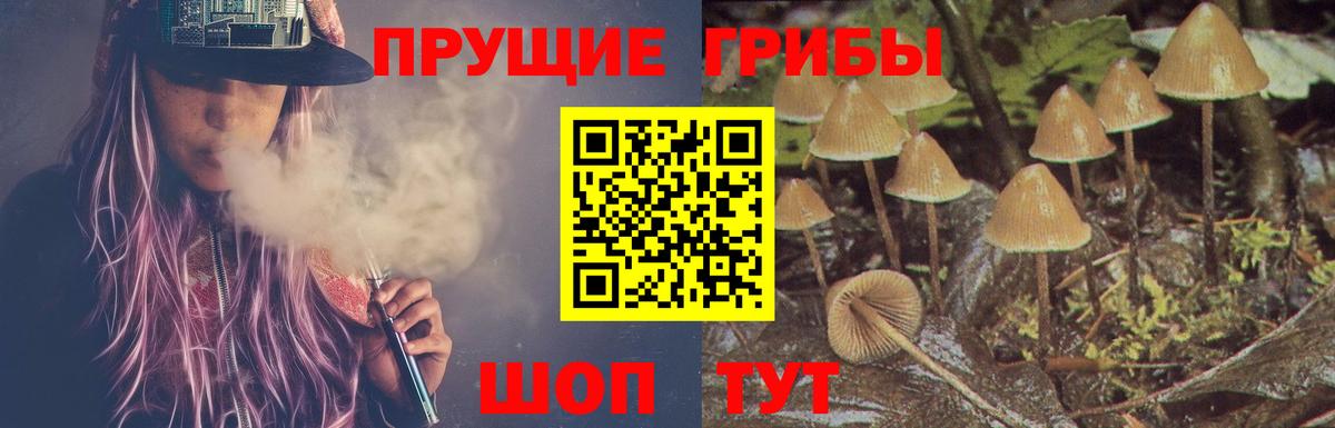Псилоцибиновые грибы Psilocybine cubensis  Псилоцибиновые грибы мицелий  Вход с VPN  Павлово 